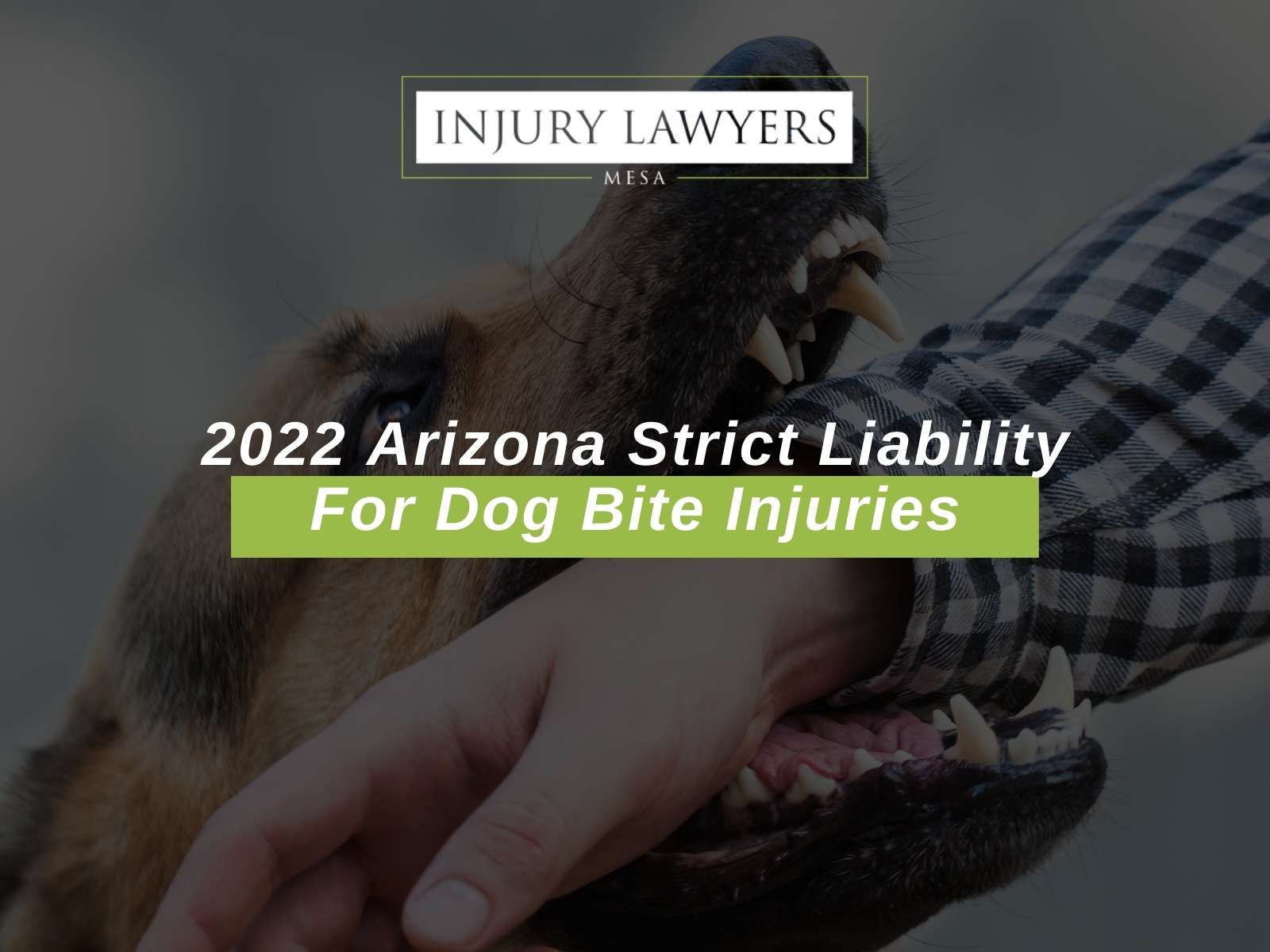 2022 Arizona Strict Liability For Dog Bite Injuries